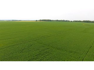 Property photo 22 - IMPORTANT OHIO LAND AUCTION - 325.5+/- ACRES OFFERED IN 8 TRACTS IN PICKAWAY COUNTY, OHIO